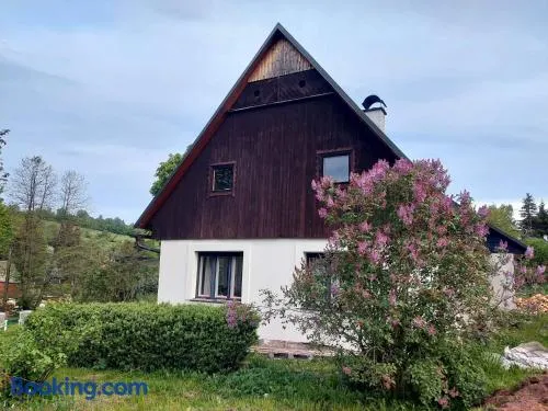 Apartmán U Kaštanu - Image 1