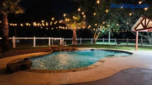 The Blue Oasis - Palm & Pool Retreat - Image 1