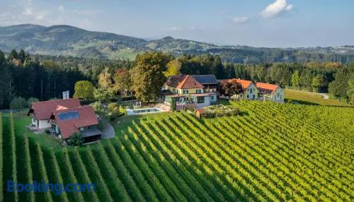 PEISERHOF ferien.wein.gut Südsteiermark - Image 1