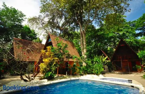 Howler Monkey Hotel - Image 1