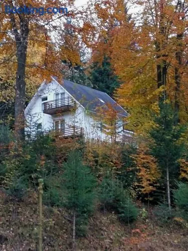 Șoaptele pădurii & Căsuța din pădure - Image 1