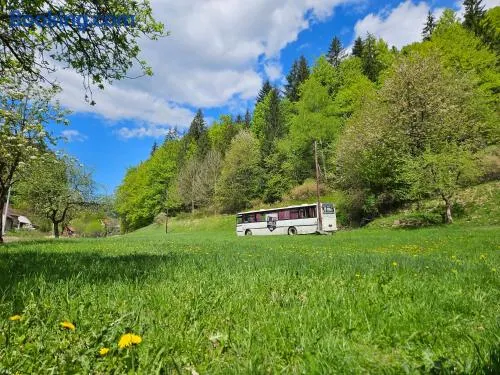 Bed in Bus - Image 1