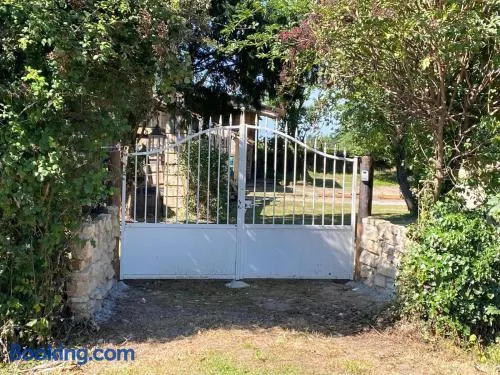 Les Anges Bleus - Image 1