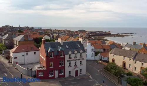 The Dolphin Inn Hostel - Image 1