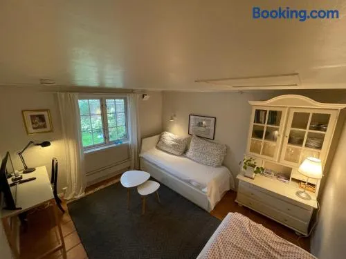 Apartament with access to garden, central, quiet and with free parking - Image 1
