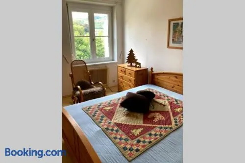 Cozy Condo close to town, castle, lake and hiking - Image 1