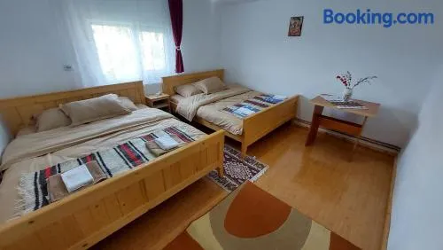 Casa din deal-Apuseni - Image 1