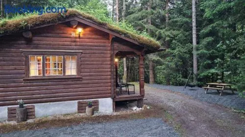 Skogshytte - Image 1