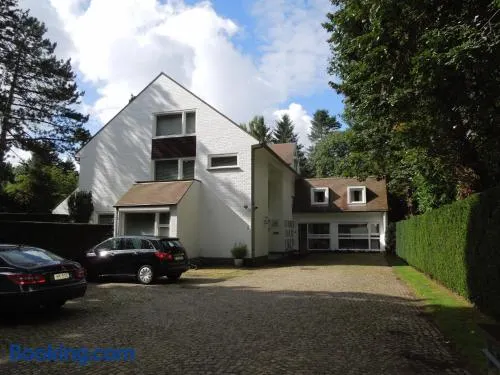 B&B Lobelia-Brugge - Image 1