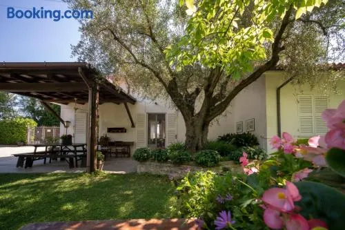 Trecentolivi B&b - Image 1