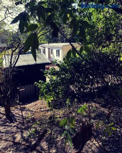 Heerlijk bos chalet met ongekende rust en vrijheid - Image 1