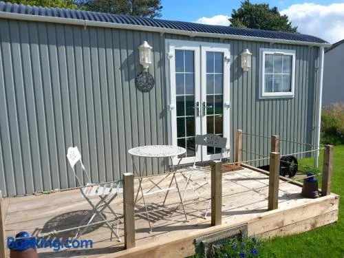 The Mad Hatter's Shepherd's Hut - Image 1