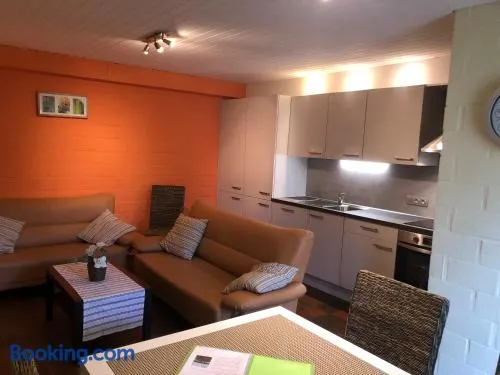 Ceder 9 Hengelhoef - Image 1