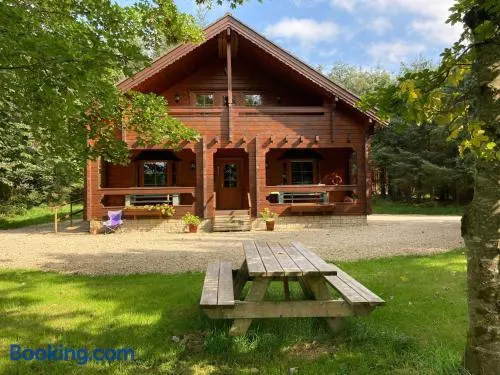 Riverside log cabin - Image 1