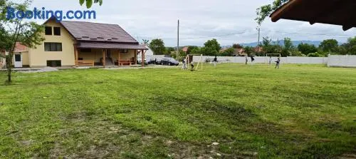 Cazare Valea Dinozaurilor - Image 1
