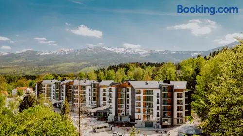 Blue Mountain Resort - Image 1