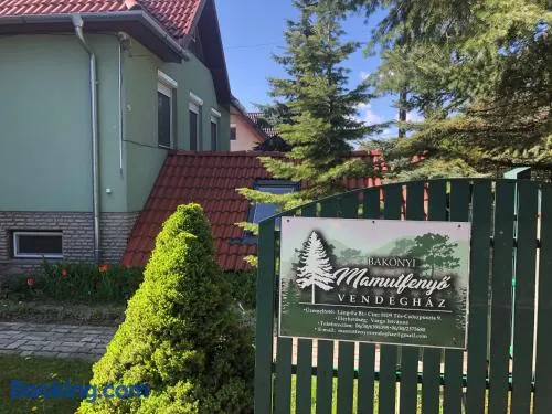 Bakonyi Mamutfenyő Vendégház - Image 1