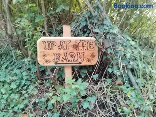 Up at the Barn - Image 1