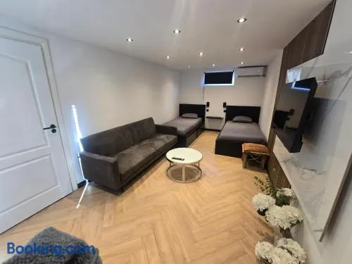 ZM Tilburg - Image 1