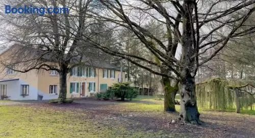 La clé de la forêt - Image 1