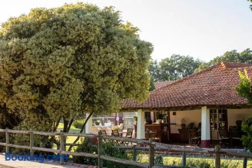 Herdade das Barradas da Serra - Image 1