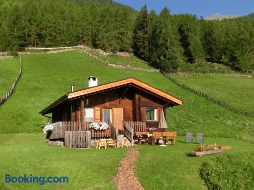 Ferienhütte Premstlahof - Image 1
