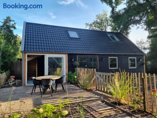B&B in de Roos - Image 1