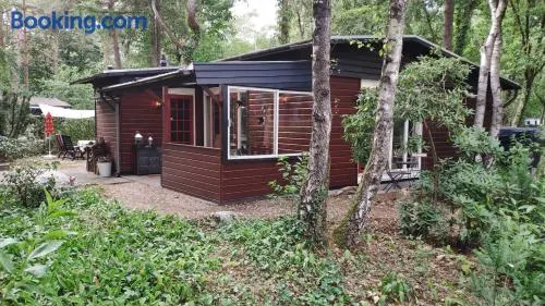 Bosbungalow de Eekhoorn - Image 1