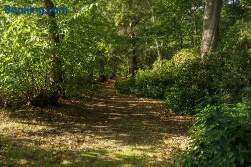 Eagle's Nest - Image 1