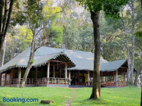 900 Woods Wayanad Eco Resort - A Sprawling Jungle Stay near Glass Bridge - Image 1