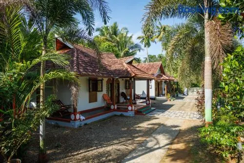 Birds Island Ayur-Yoga Retreat - Image 1