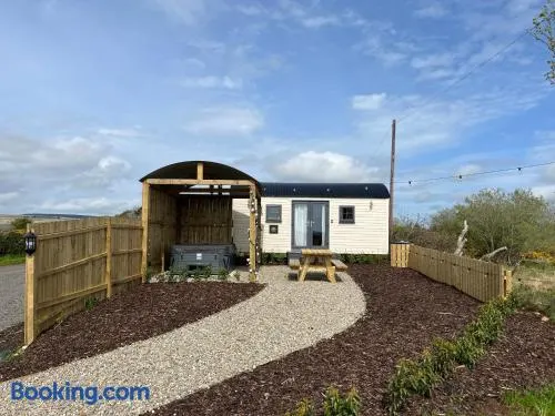 Redfox Shepherds hut and private hot tub - Image 1