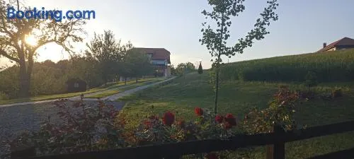 Stari Tršić - Image 1