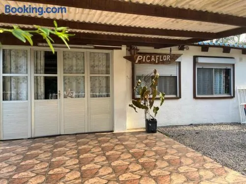 Picaflor - Image 1