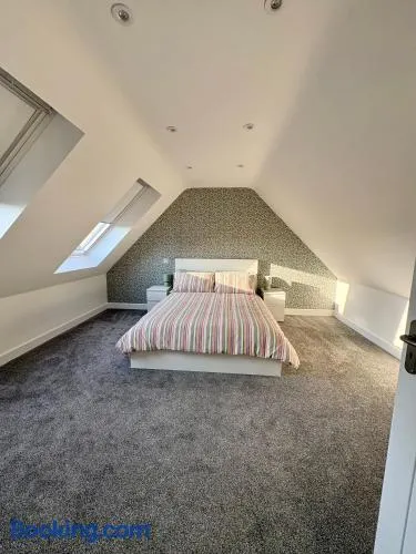 The Loft - Image 1