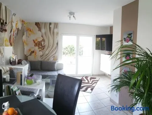 Ferienwohnung Schusi Freital - Image 1