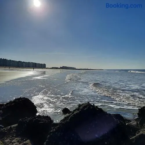 Zon, zee en ontspanning - Image 1