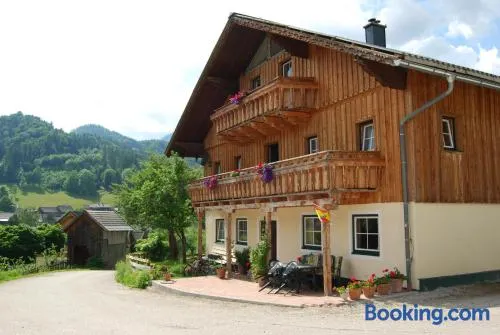 Reitbauernhof Schartner - Image 1
