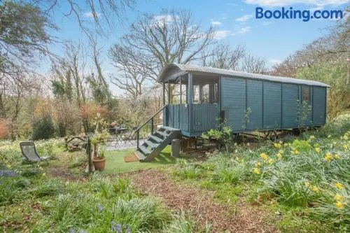 1 Bed in Launceston oc-91964 - Image 1