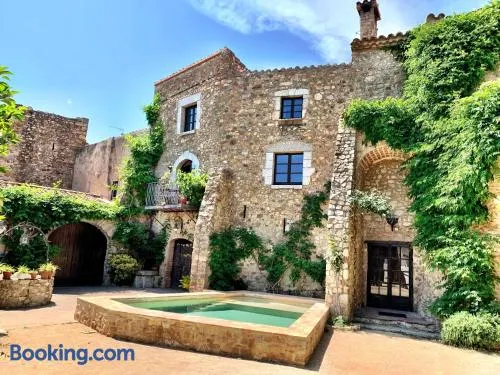 ELS RACONS DEL FORT Castle in wine territory - Image 1