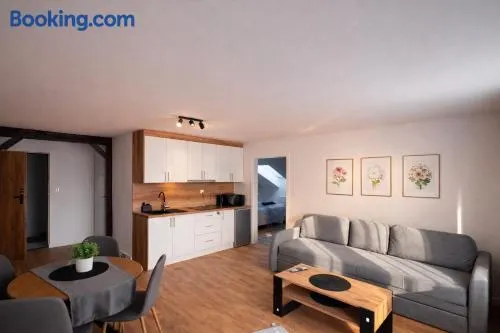 Apartamenty Nad Pilicą - Klimatyzacja - Sulejów - Image 1