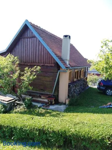 Jana - Image 1
