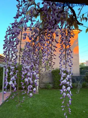 Domus Dafne Apartment - Image 1