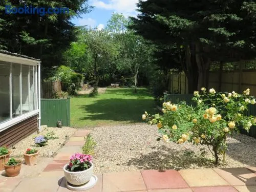 Garden Flat, Ealing - Image 1