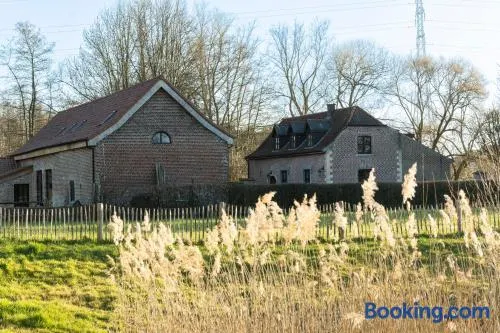Broekemmolen - Nature getaway & green spot - Image 1