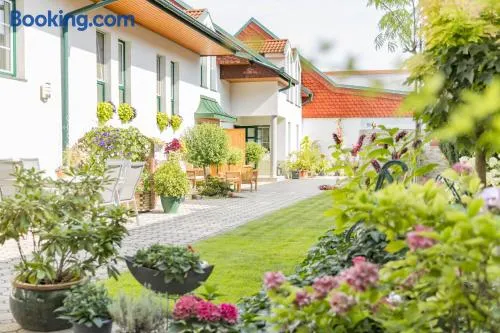 Weingut Apartment Hildegard Gangl - Image 1