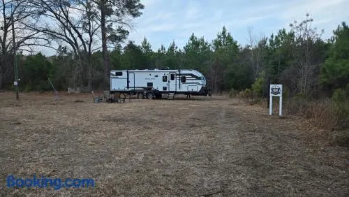 The Pinecone Retreat - Only 1 mile from i95 - Image 1