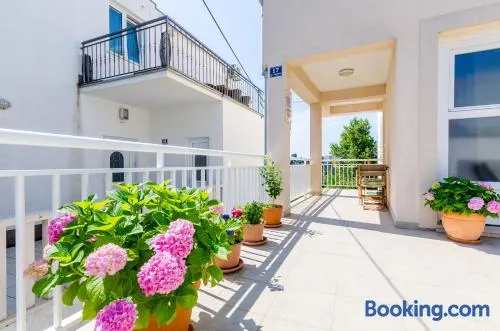 Apartments Pavle - Image 1