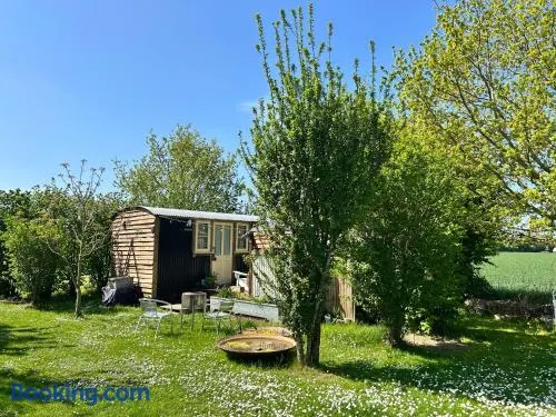 Mr Hares shepherd hut - Image 1