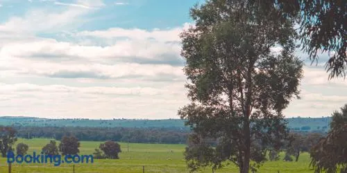 Wagga Wagga Tourist Park - Image 1